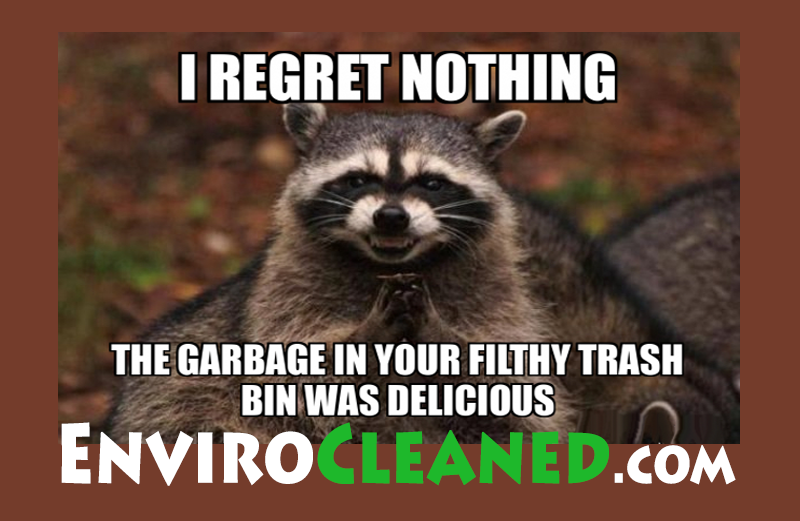 Dirty Trash Bins